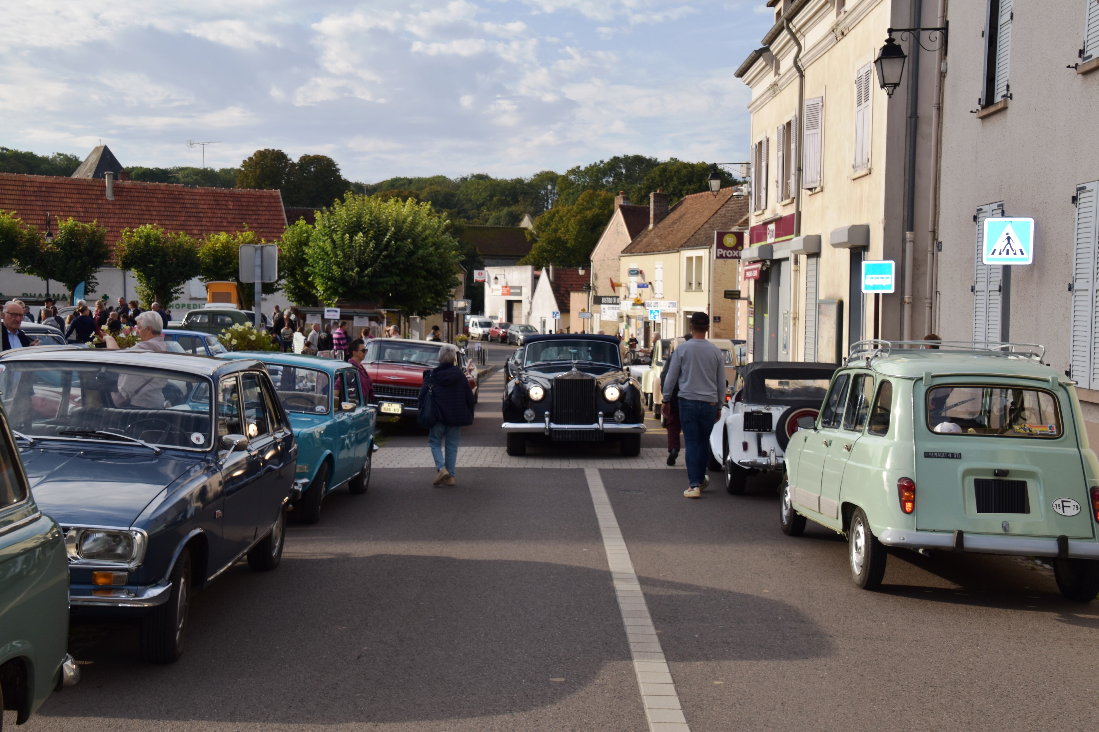 DSC_0230.JPG