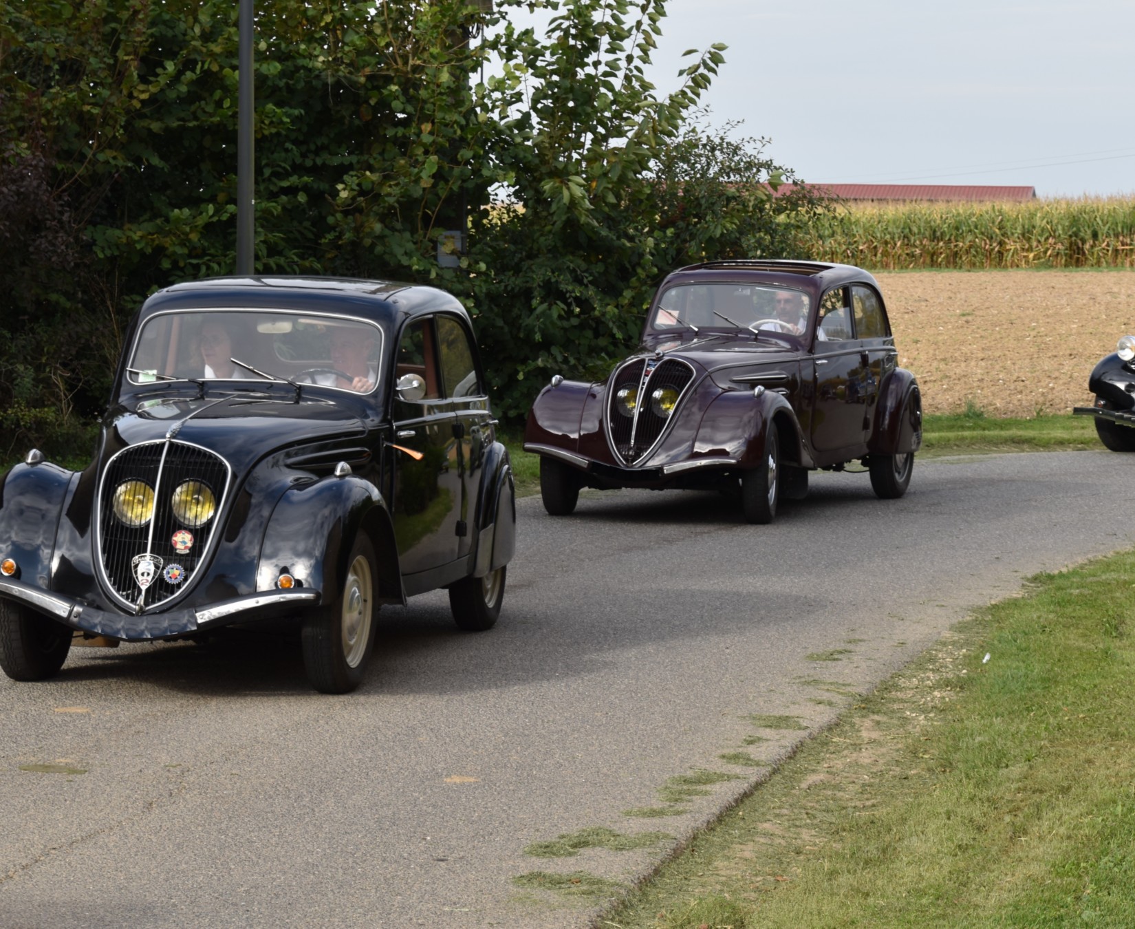 DSC_0346.JPG